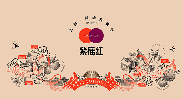 资中血橙·紫摇红/农产品品牌策划/农产品包装设计